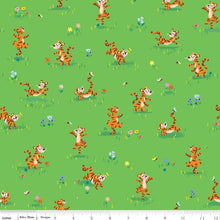 Load image into Gallery viewer, 100 Aker Woods Tigger Bounce Green
