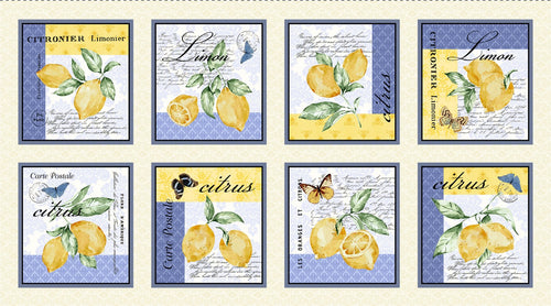 Limoncello citrus panel